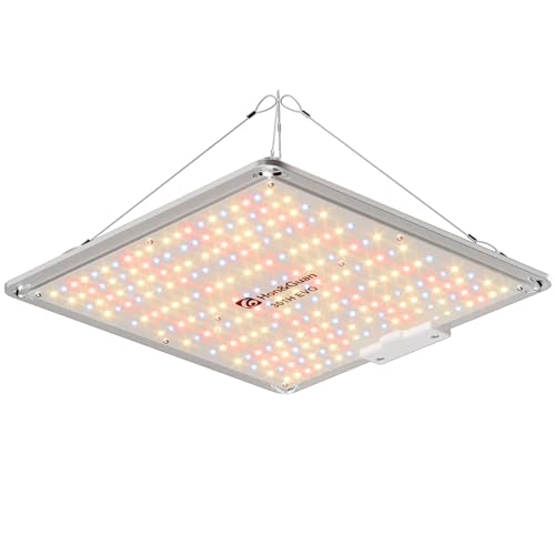 energy efficient plant grow lights 100W Full Spectrum LED Grow Light – High-Efficiency Plant Lamp for Indoor Plants & Grow Tents