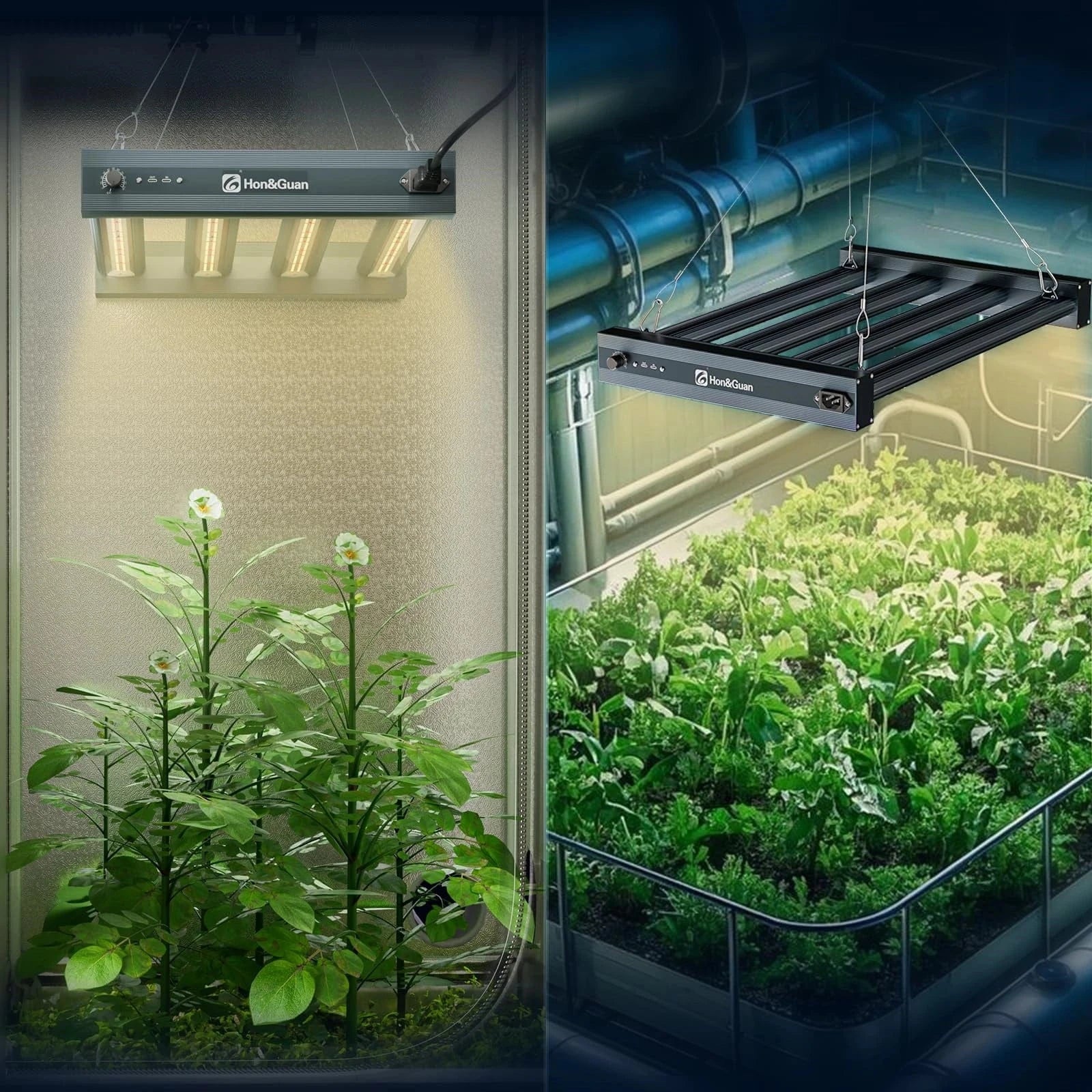 LED Grow Light EG2400 Installed in Grow Tent – Full Spectrum Lighting for Indoor Plant Cultivation and Uniform Growth